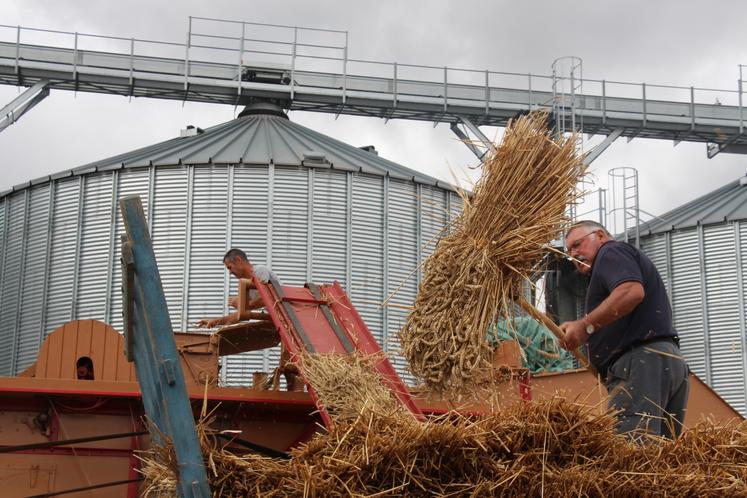 Sept anciens agriculteurs ont réalisé une démonstration de battage à l'ancienne, dimanche 30 août.