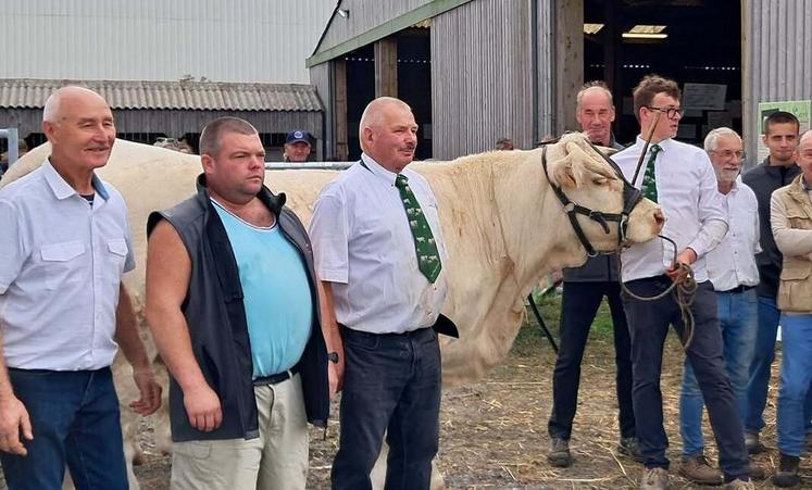 À Lessay, le concours en race Charolaise, jugé par le mayennais, Patrice Bigot, a vu Sikojulo, née chez Yves Tardif, repartir avec le titre de meilleur animal du concours.