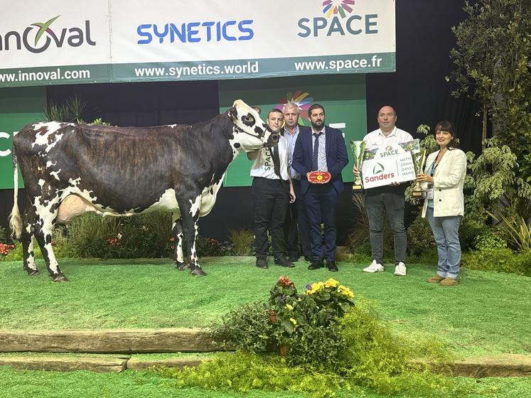 A 14 ans seulement, Quentin Lerévérend, fils de Denys, éleveur installé à Castillon-en-Auge (Calvados) a fait un très beau début de concours avec Riki (Montoya/Bourdon) devenue championne adulte après avoir remporté sa section.
