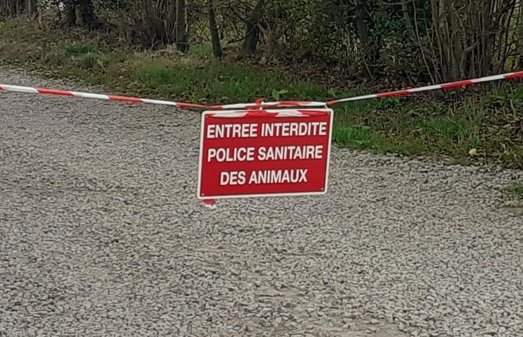 La Ferme de Béthanie, à Picauville, a joué le rôle de l'exploitation d'origine des bovins contaminés