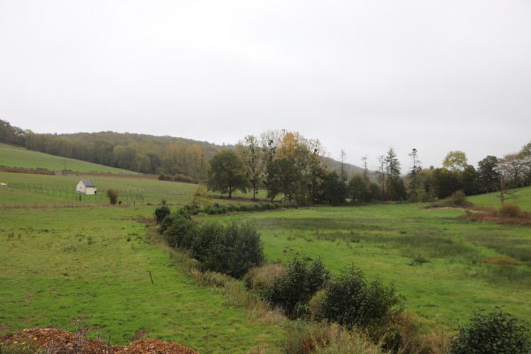 "La prairie normande n'est pas faite pour les années de sécheresse. [...] S'adapter au climat va devenir de plus en plus compliqué", expriment Daniel et Christine Courval. L'assurance prairies est au cœur des débats.