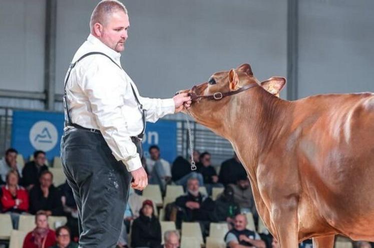 Tetropbell, grande championne au concours national Jersiaise.