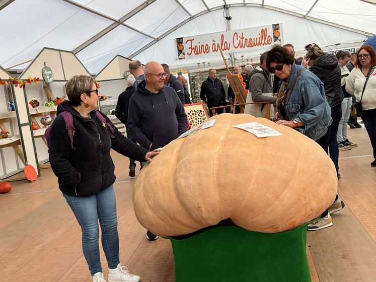 Au concours de la plus grosse citrouille, Etienne Daboville de Brillevast a remporté le premier prix avec un potiron atlantique géant de 518 kg (4,61 m de circonférence)