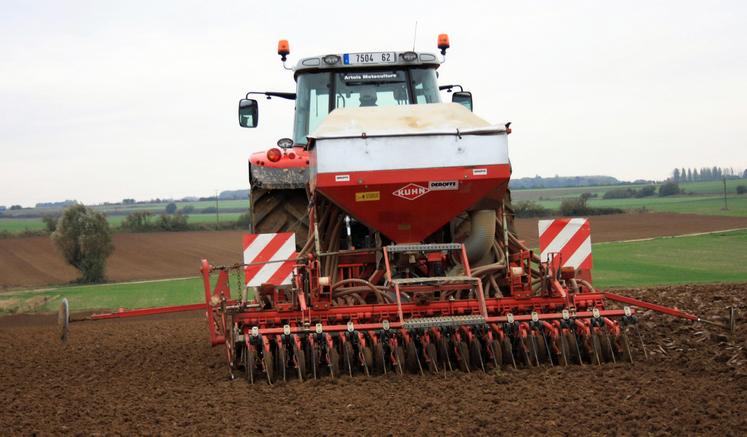 Les céréales à paille présentent une bonne flexibilité à la date de semis. Pour les orges d'hiver, retarder les implantations sur la deuxième quinzaine d'octobre est peu risqué tant que les conditions de sol s'y prêtent.
