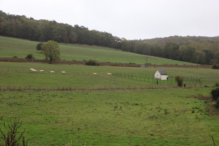 Airbus pousse de l'herbe ferme Courval
