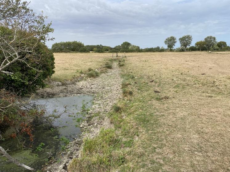 Dans les fossés des champs de Franck et Stéphane Labarrière, l'eau a disparu durant le mois d'août. Une première pour les exploitants qui ont dû alerter sur les usages à venir, notamment pour la chasse.