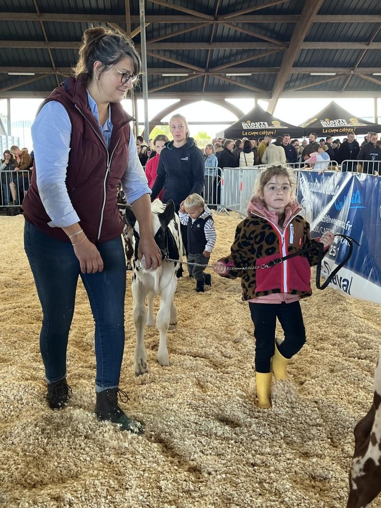 Concours bovins relève jeune présentateur