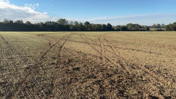 Plusieurs exploitants du secteur du Pays d'Auge sont concernés par des nuisances nocturnes.