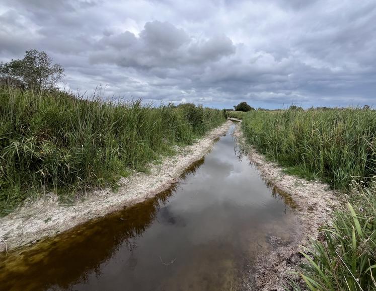 La Normandie souffre d'une grande inégalité de sous-sols affectant la capacité de certains territoires à affronter des sécheresses durables comme le montre la carte que nous publions dans l'article.