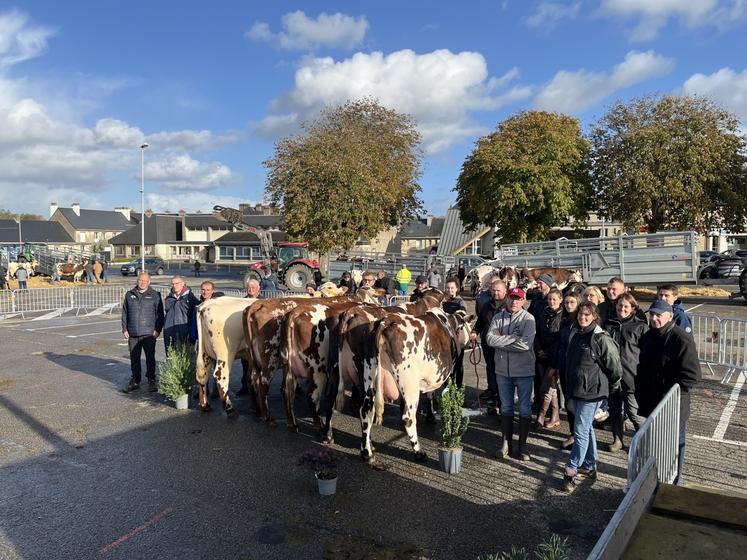 L'arrondissement de Valognes a fermé la marche des concours avec une des plus fortes participations des éleveurs. Ils avaient les pieds sur le bitume quand d'autres sont installés sous le marché couvert comme à Saint-Hilaire-du-Harcouët ou Carentan-les-Marais ou encore les pieds dans le sable à Saint-Martin-de-Bréhal et sur l'herbe à Cherbourg.