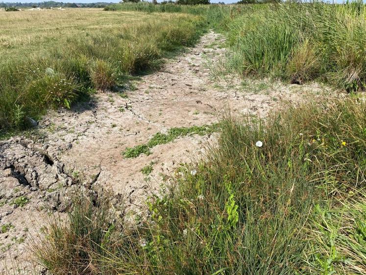 Le niveau des fossés des marais de la Divette est conditionné par les vannes positionnées en amont, sur la Dives.