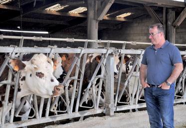François Lefauconnier, éleveur et président de Normande 50, est à pied d'oeuvre dans l'organisation du week-end dédié à la Normande tout en gardant un oeil sur ces vaches, et notamment Frêle et Houlette. DR
