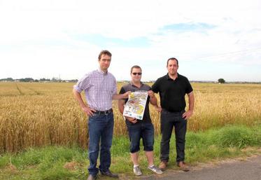 Édouard Lebrun, président du Canton de Bourguebus, Antoine Vandemeesch, vice-président du Canton de Bourguebus et Julien Aubrée, agriculteur sur le Canton de Bourguebus préparent la Fête de l’Agriculture édition 2016, le 28 août, à Cagny, près de Caen.