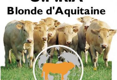 Une race qui séduit de plus en plus d'éleveurs