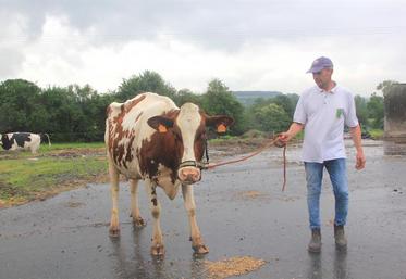 Jacques Mourocq, et sa vache Holt Red, se rendront à l’hippodrome de Vire ce week-end. L’animal concourra dans la catégorie des vaches de quatrième lactation.