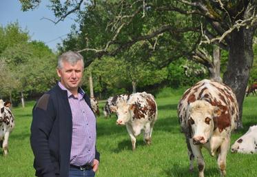 Rendez-vous le 27 mai à partir de 10 h à la MFR de Maltot. Cet évènement, devenu incontournable, devrait une nouvelle fois attirer près de 10 000 personnes. Connaisseurs ou non, issu du monde rural ou vivant en ville y trouvent leur bonheur.  DR