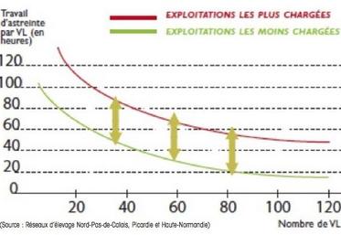 Graphique 1 - Travail d’astreinte par VL en fonction de la taille de l’élevage