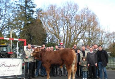 Sébastien Jacqueline (à gauche) et "Diablo Z" entourés des éleveurs participant au concours Limousin de Montebourg.