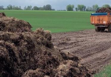 Proscrire l’accès des bovins au tas de fumier dans les prairies.