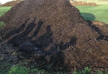 Le compost doit avoir une odeur d'humus, de couleur brune 
homogène et s'émiette bien.