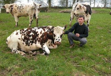 Samuel Eudeline : “28 bœufs valorisent 25 ha de prairies dont 15 non mécanisables pour des questions de pente”. Ils y passent également leurs quartiers d’hiver.