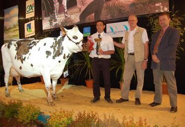 Le prix de meilleure mamelle adulte est allé à Tresse 2686, earl Calan, Côtes d'Armor