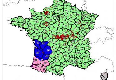 La situation sur l’hexagone et dans l’Eure au 18 juillet dernier... Ce qu’il faut lire sur cette carte :
- rond rouge (foyer de BTV8 due à la circulation virale 2008) 
- rond bordeaux (foyer de BTV1)    
- zone en vert (zone réglementée sérotype 8) - Zone en rose (zone réglementée sérotype 1)
- zone en bleu (zone réglementée sérotype 1 et 8) 
- zone en gris (zone réglementée sérotype 1-2-4-16.