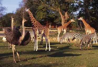 Outre la présentation d’animaux, le parc zoologique mène des actions de conservation  sur le terrain.