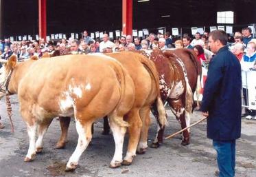 Une ambition pour la manifestation de Torigni sur Vire, devenir l’égal du fameux concours d’Evron (Mayenne).