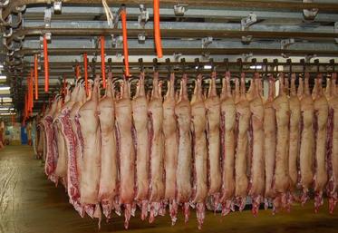 380 000 porcs sont abattus chaque année sur le site de Ste-Cécile (Manche). Les AIM ont été créés en 1956.