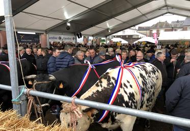 Concours animaux de boucherie