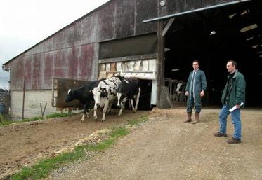 Marc Constantin : “à mon installation, je pratiquais le pâturage avec fil avant et fil arrière. Dans un souci de simplification, nous nous sommes orientés vers le pâturage tournant”.