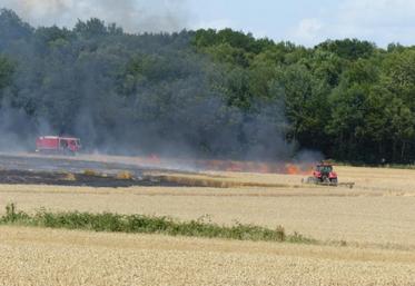 Plusieurs incendies ont touché des parcelles de l’Orne et du Calvados la semaine dernière.