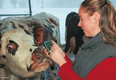 Les femmes sont relativement plus nombreuses à s’installer en élevage laitier que dans les autres secteurs de production.