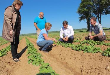 Chez Mathilde Vermès, productrice notamment de pommes de terre, la politique de l’eau a largement été évoquée.