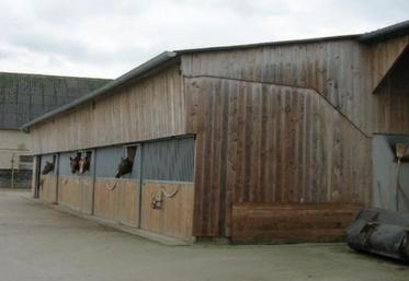 Vue sur les boxes extérieurs accolés au barn.