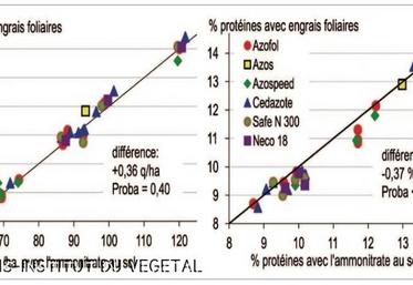 Comparaison, pour la même dose d’azote totale, des productions de grain et des teneurs en protéines du blé tendre, entre l’ammonitrate apporté au sol et la fertilisation azotée incluant des produits pulvérisés sur le feuillage. Données issues de 7 expérimentations réalisées en France de 2003 à 2010.