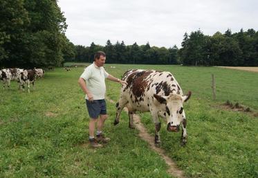 Dominique Lechat, éleveur depuis 1996, trois de ses laitières iront au prochain Space.