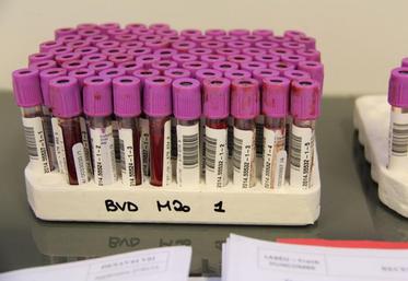 Les tubes de sang sont scannés (comme au supermarché).Grâce au fichier informatique transmis par le GDS, le laboratoire sait quelles analyses doivent être pratiquées.