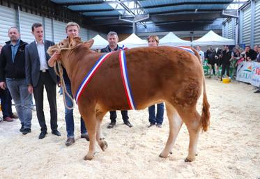 Nicieuse, 592 kg, prix Challenge de l’espérance femmelle et consacrée Meilleur animal du concours départemental Limousin dimanche 7 avril à Lisieux, où 55 animaux étaient présents. Gabriel, qui l’a dressée, et ses parents Emmanuel et Florence Carpentier, sont très fiers de ce beau prix.