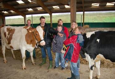 La famille Meilink voue une préférence pour les Pie Rouge. Le Gaec présente trois vaches laitières et une génisse.