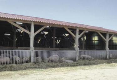Un bâtiment d’engraissement adapté à la production porcine 
en AB.
