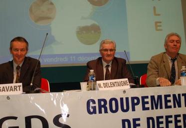 Étienne Gavard (à gauche), directeur général du GDS et Daniel Delentaigne (président), “une priorité, la baisse de mortalité des veaux”.