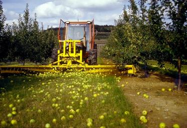 Compte tenu de l’importance du verger haute-tige en Pays d’Auge et dans les Bocages Normands, la récolte 2008 impactera sur les quantités mises en marché.