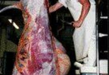 La clientèle de l’abattoir est constituée de grossistes (35 %), de bouchers (20 %) de TEBA (20 %) et d’éleveurs (15 %), les 10 % restants représentent les sous-produits de découpe.