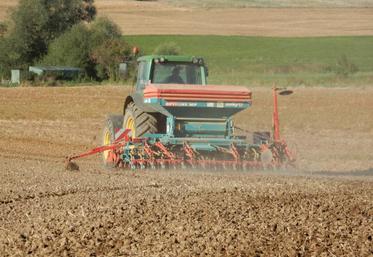 Les périodes de semis de colza commencent traditionnellement à partir du 20 août dans les secteurs les plus continentaux et s’échelonnent jusqu’au 5-10 septembre.