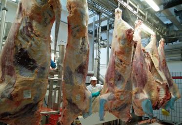 L’abattoir EVA situé à Saint-Pierre-sur-Dives (Calvados) ouvre ses portes dans le cadre de l’opération Made in viande conduite par l’interprofession Interbev. (DR)