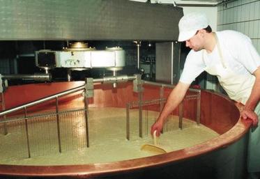 Les 28 000 éleveurs laitiers suisses livrent leur lait à deux circuits distincts : 60 % de la production est livrée à des industriels laitiers et 40 % de la production est transformée dans des fruitières artisanales (comparables aux fruitières de Franche-Comté), petites coopératives locales.