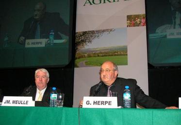 "L’ensemble de nos branches ont contribué aux bonnes performances du Groupe en 2005. Y compris la branche volaille en dépit d’une fin d’année difficille".