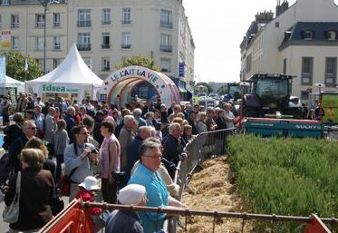 Dès samedi matin, la foule s'est massée autour des blés et de animaux, lors de cette fête du pain.